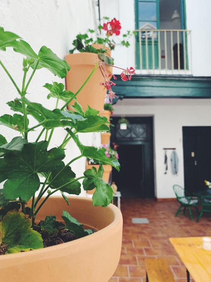 Maria Magdalena - Room 1 Malaga Exterior photo