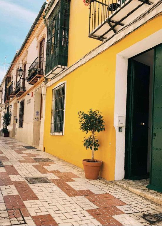Maria Magdalena - Room 1 Malaga Exterior photo